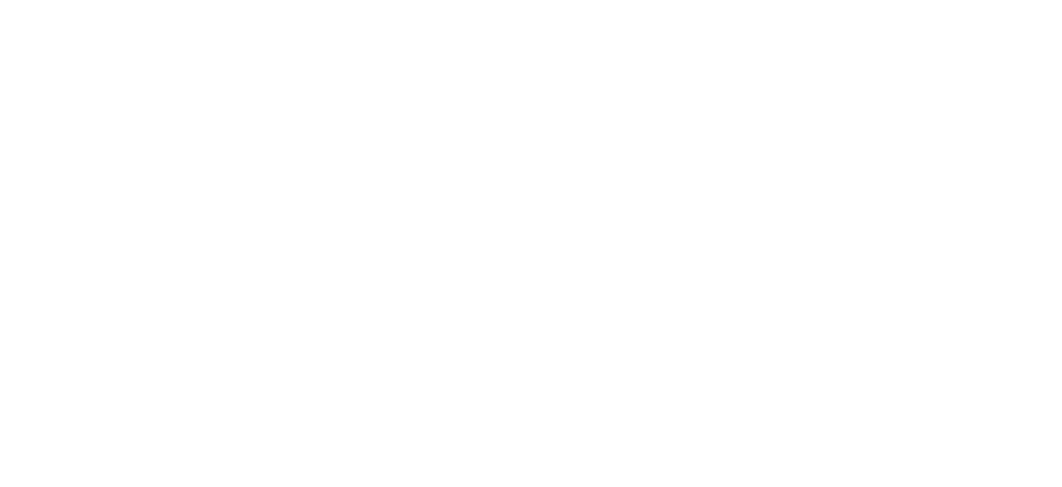Expect – growth logistics